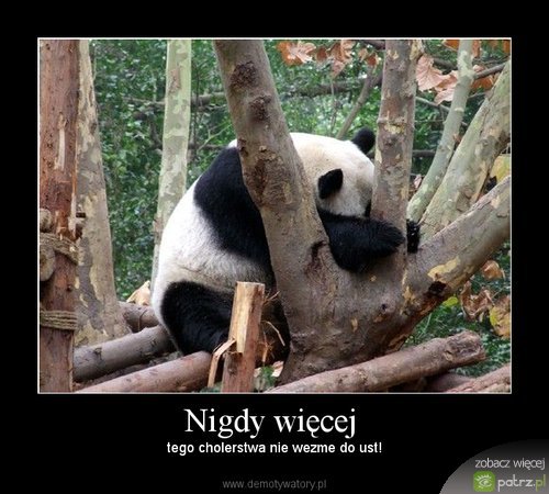 nigdy więcej 0 [.jpg]